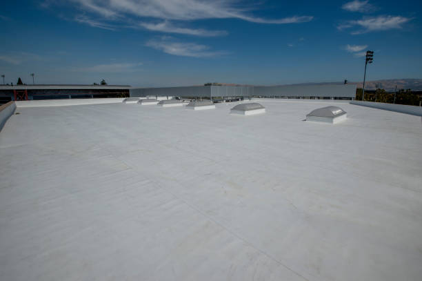 Best Metal Roofing Installation  in Headland, AL